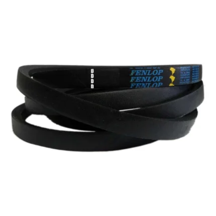 CORREIA EM V B 68 FENLOP