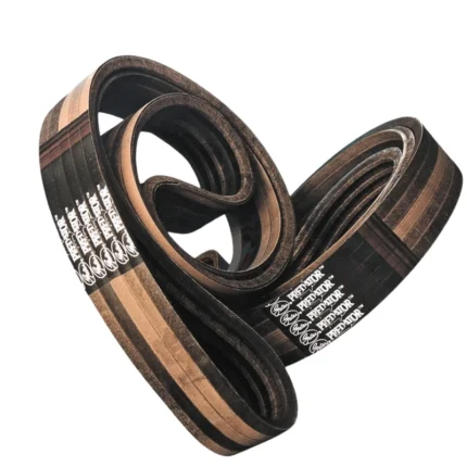 Correia predator - power band CP81 -2159mm GATES