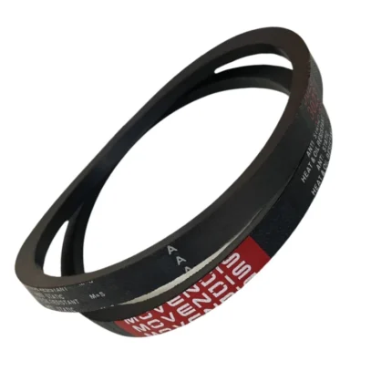 CORREIA EM V A 19 MOVENDIS