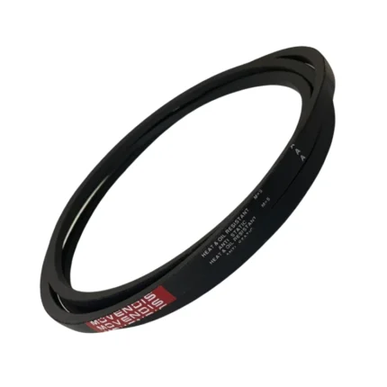 CORREIA EM V A 114 MOVENDIS