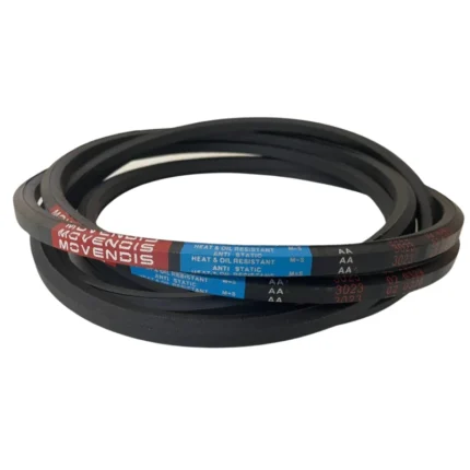 CORREIA EM V AA 68 MOVENDIS