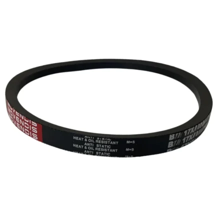 CORREIA EM V B 41 MOVENDIS