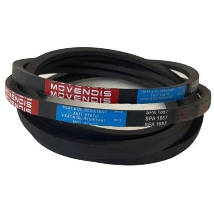 CORREIA EM V SPA 1857 MOVENDIS
